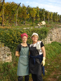 Vendanges_2008_Anne_Caroline_Maman.jpg (48 KB)