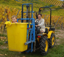 Vendanges_2008_tracteur.jpg (32 KB)