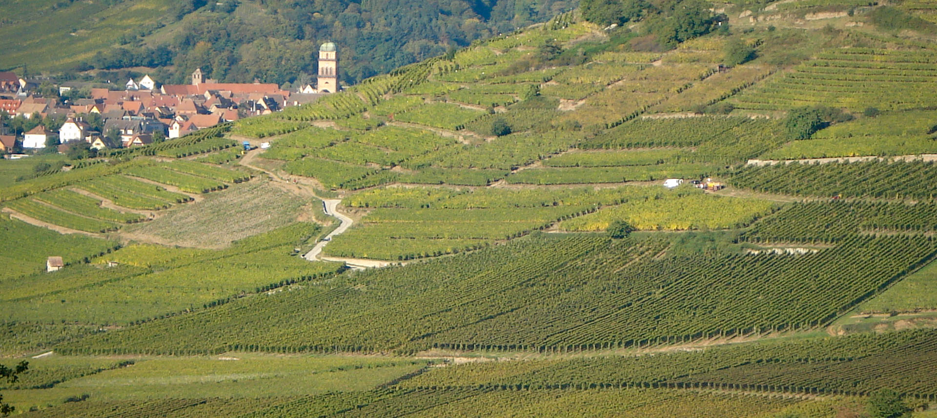 grand-cru-schlossberg.jpg (415 KB)